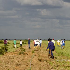 DENUNCIA PÚBLICA No. 27  AMENAZAN DE MUERTE A LÍDERES:   Sra. LUZ MARINA ARTEAGA Y Sr. OMAR ELKIN SALGADO INTEGRANTES DE LA JUNTA DE ACCIÓN COMUNAL DE LA VEREDA MATARRATÓN Y DEL PROCESO DE RESTITUCIÓN DE TIERRAS DE EL PORVENIR, PTO. GAITÁN – META.