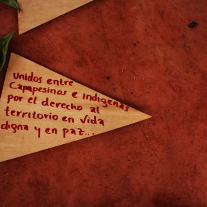 Finaliza Segundo Tejido y Unuma