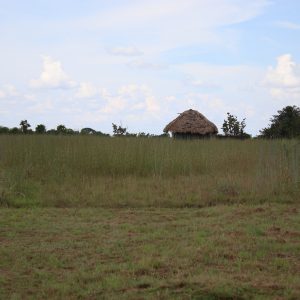 ¿Asesinar niños es acabar con las disidencias?