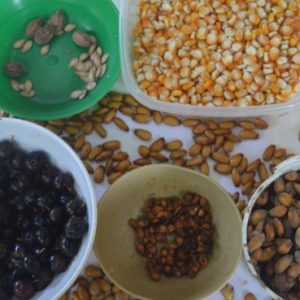 EN CAÑO MOCHUELO POR LA SOBERANÍA ALIMENTARIA Y LA FORTALEZA DE LAS TRADICIONES. INFORME DE CUMPLIMIENTO DE ACTIVIDADES.