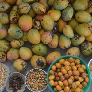 Caño Mochuelo – Caminos de dignidad