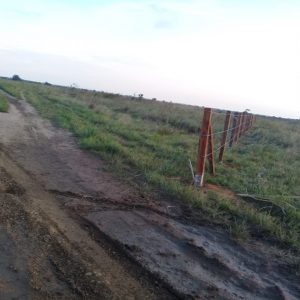 DENUNCIA PÚBLICA No. 37. PERSISTEN LOS ACTOS DELICTIVOS CONTRA LAS COMUNIDADES CAMPESINAS HISTÓRICAS E INDÍGENAS DE EL PORVENIR, PUERTO GAITÁN – META