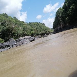 DENUNCIA PÚBLICA N° 7. REGIÓN DEL GUAYABERO – COLOMBIA.  PRESUNTO ASESINATO DE UN JOVEN CAMPESINO EN LA VEREDA LA REFORMA – PUERTO RICO – META