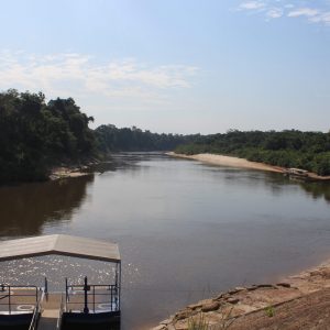 DENUNCIA PÚBLICA No. 46 PREOCUPACIÓN POR TRES ASESINATOS DE MANERA VIOLENTA, EN CONTRA CAMPESINOS E INDÍGENAS EN SOLO UNA SEMANA EN EL MUNICIPIO DE PUERTO CARREÑO, VICHADA