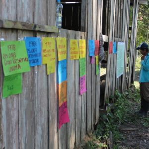 Fallo de tutela protege los derechos de campesinos e indígenas  en el municipio de Cumaribo, Vichada