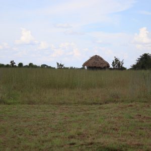  TERROR Y MIEDO EN LA COMUNIDAD INDÍGENA DEL ASENTAMIENTO DE SAN RAFAEL WARROJO EN LA PUERTO GAITÁN META