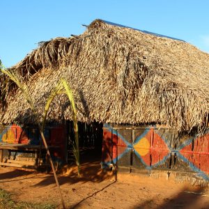 DENUNCIA PÚBLICA No. 53 FUERZA PÚBLICA INGRESA VIOLENTAMENTE Y AGREDE A LA COMUNIDAD INDIGENA DE ASEINPOME, VEREDA EL PORVENIR (PUERTO GAITAN, META)