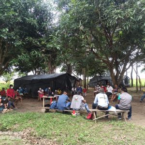 CORTE CONSTITUCIONAL  PROTEGE DERECHOS DE PUEBLO INDÍGENA  WAUPIJIWI  DE LA PRIMAVERA, VICHADA EN PELIGRO DE EXTINCIÓN FÍSICA Y CULTURAL