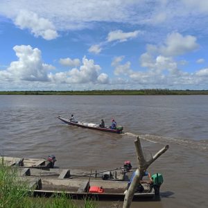 Presencia de hombres encapuchados, de civil y armados en las sabanas comunitarias del Porvenir Pto. Gaitán Meta.