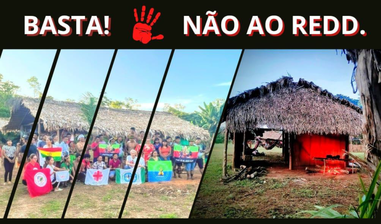 CARTA DE REPUDIO A REDD EN TERRITORIOS DE PUEBLOS INDÍGENAS, COMUNIDADES CAMPESINAS, TRADICIONALES Y AFRODESCENDIENTES DE LATINOAMERICA