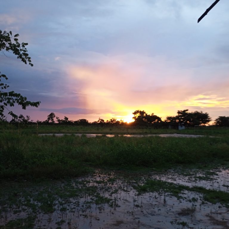 LLAMAMIENTO HUMANITARIO CORRERÍA ANCESTRAL WAJTAKJU NAMTO PONÖTSI