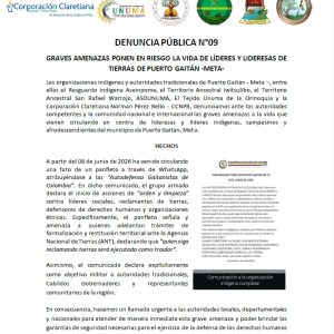 DENUNCIA PÚBLICA N°09